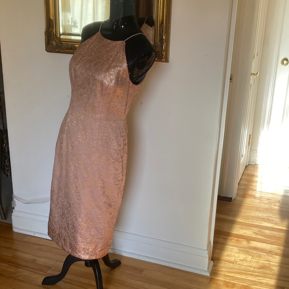 Adrianna Papell Blush Lace Midi Dress